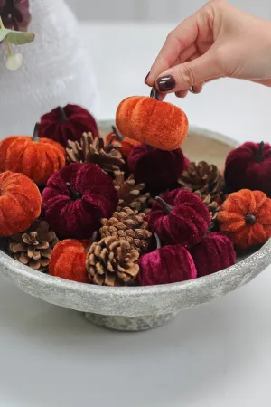 Box of Velvet Pumpkins & Pinecones