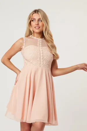 Carlie Blush Tulle and Lace Skater Dress